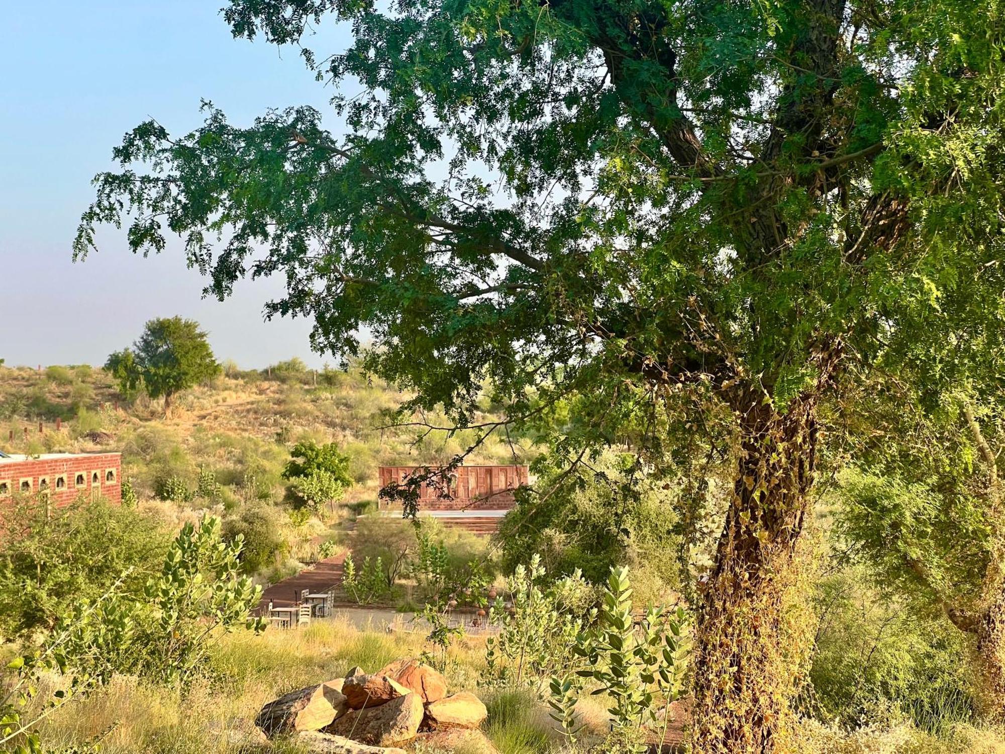 Kaner Retreat - India'S First Desert Botanical Resort Shaitrāwa Exteriér fotografie